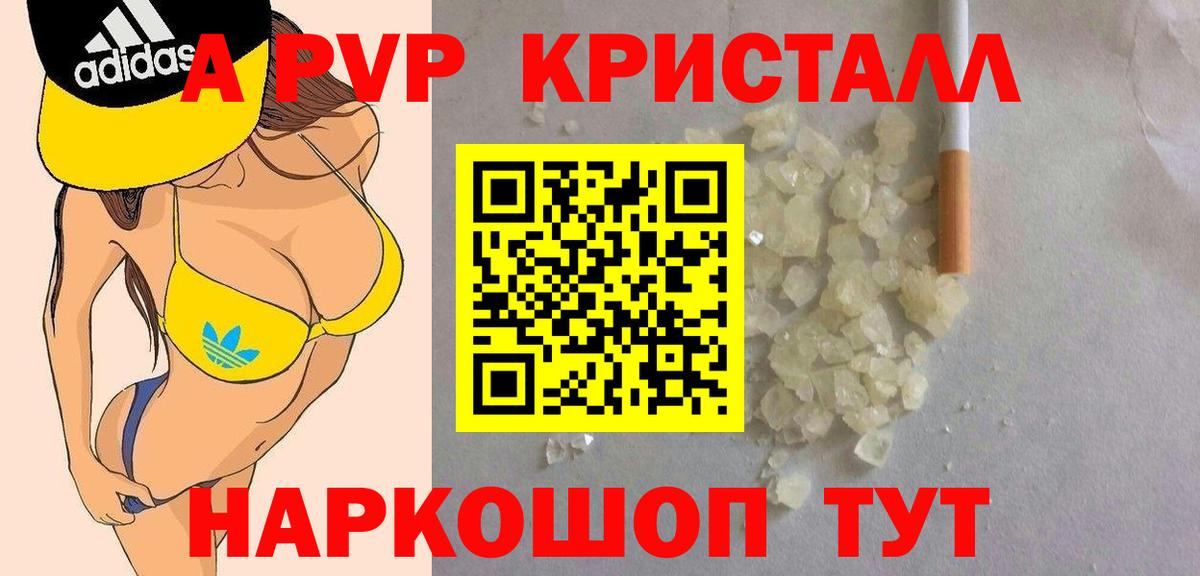 Альфа ПВП СК КРИС  A PVP СК КРИС  Северск  Вход с VPN 