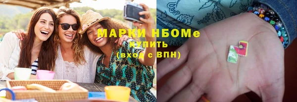 сатива Инсар