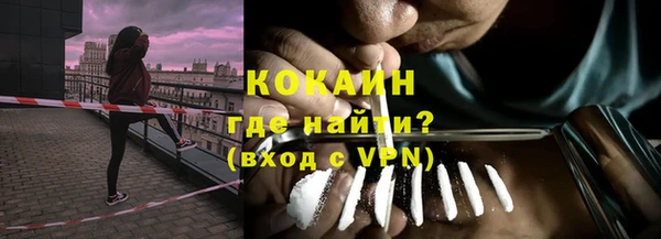 сатива Инсар