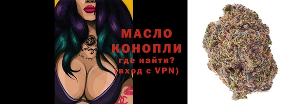 сатива Инсар