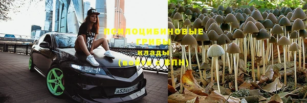 сатива Инсар