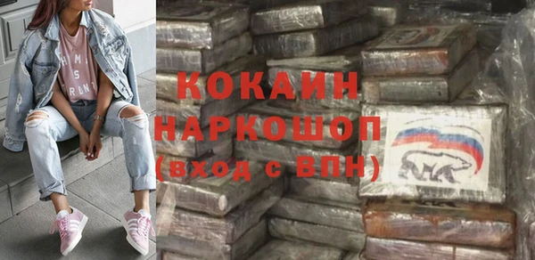 сатива Инсар