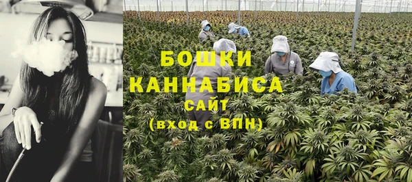 сатива Инсар