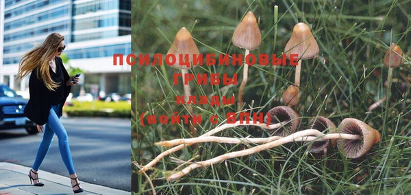 круглые Инта