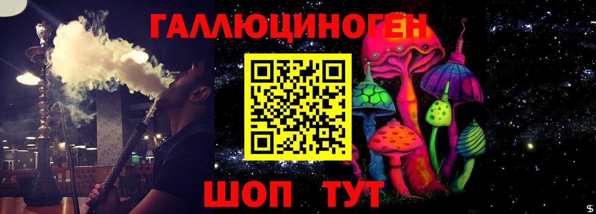 Северск  Галлюциногенные грибы Psilocybe  Вход с VPN 